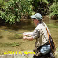 Fly Rod Selection: Why Fly Anglers Buy the Wrong fly rod at www.flyfisher.com