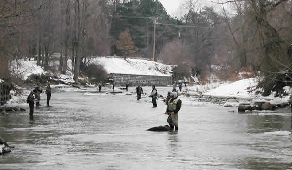 Steelhead Fishing Walnut Creek PA from www.flyfisher.com