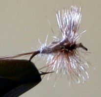 Fly Fishing: Adams Dry Fly