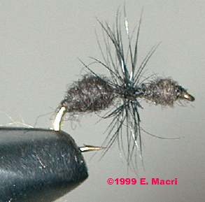 Fly Fishing: Black Fur Ant