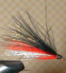 Fly Fishing: Streamer-The Black Maribou