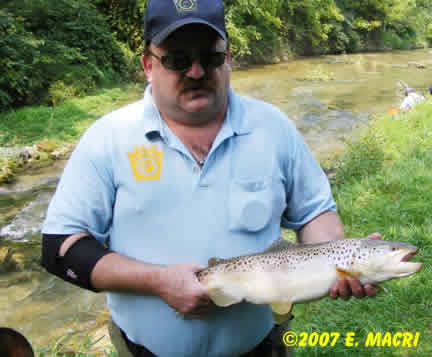 Lunker Brown Trout From Big Spring Creek
