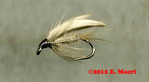 Hares Ear Gold Ribbed Wet Fly from www.flyfishing.com which is one of the most important wet flies. It can be used in a number of different ways for imitation and attractor patterns.