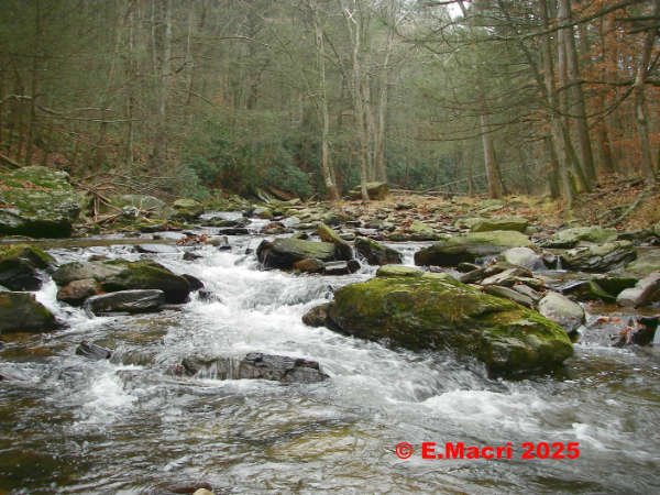 Conewago Fly Fishers Private Water near Arendstville Pa