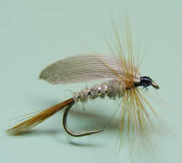 H.E Gold Ribbed Wet Fly; www.flyfisher.com