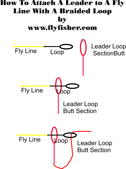 Attaching a leader to a looped fly line at www.flyfisher.com